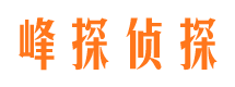 永新市侦探调查公司